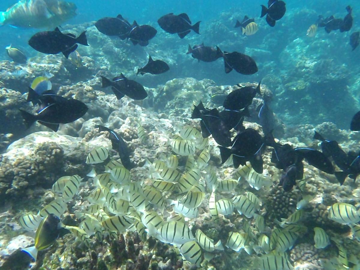 Island Time Guest Room Flying Fish Cove 外观 照片